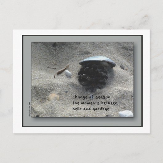 Carte Postale Changement de saison (Devant)