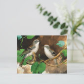 Carte Postale Chanson blanche (Debout devant)