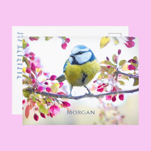 Carte Postale Chanson colorée, Fleurs de printemps, Nom, Message