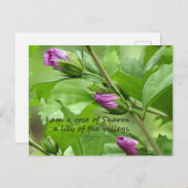 Carte Postale Chanson de Salomon 2:1 (Devant / Derrière)