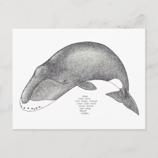 Carte Postale chansons de baleine