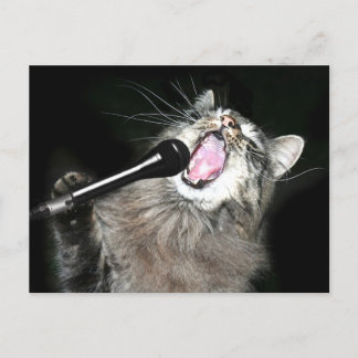 Carte Postale Chant chat