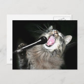 Carte Postale Chant chat (Devant / Derrière)