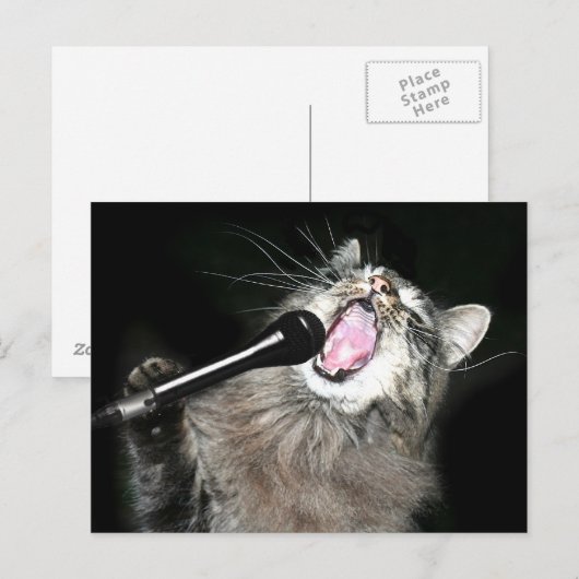 Carte Postale Chant chat (Devant / Derrière)