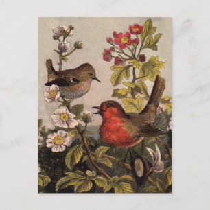 Carte Postale Chant d'oiseaux du printemps vintage botanique flo