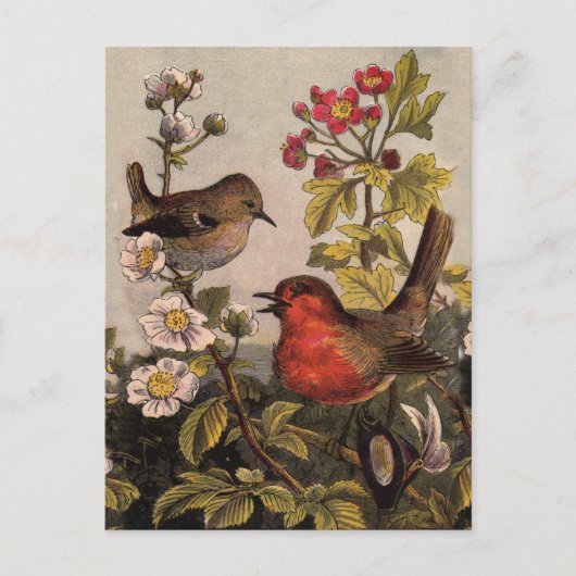 Carte Postale Chant d'oiseaux du printemps vintage botanique flo (Devant)