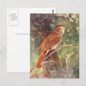 Carte Postale Chant nocturne (Devant / Derrière)