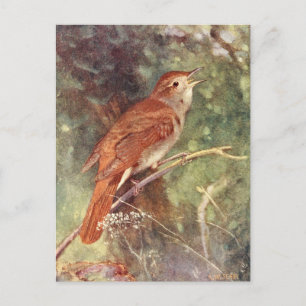 Carte Postale Chant nocturne