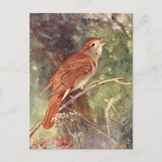 Carte Postale Chant nocturne (Devant)
