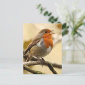 Carte Postale Chant Robin (Debout devant)