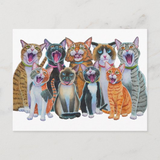 Carte Postale Chanter des chats (Devant)