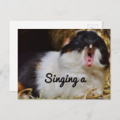 Carte Postale Chanter le cochon de Guinée (Devant / Derrière)