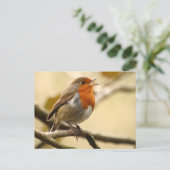 Carte Postale Chanter Robin (Debout devant)