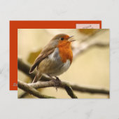 Carte Postale Chanter Robin (Devant / Derrière)