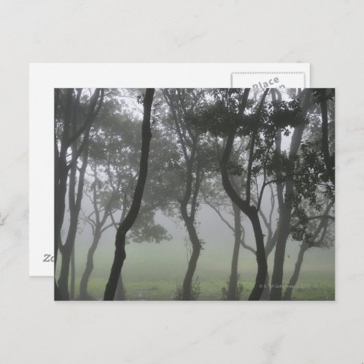 Carte Postale Chao dos Louros, Madère, Portugal (Devant / Derrière)