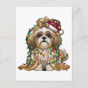 Carte Postale Chapeau de Père Noël Shih Tzu Lumières de Noël Drô