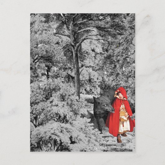 Carte Postale Chaperon rouge et loup (Devant)