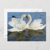 Carte Postale Chaperoned Swan (Devant / Derrière)