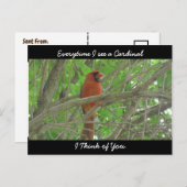 Carte Postale Chaque fois que je vois un cardinal, je pense à To (Devant / Derrière)