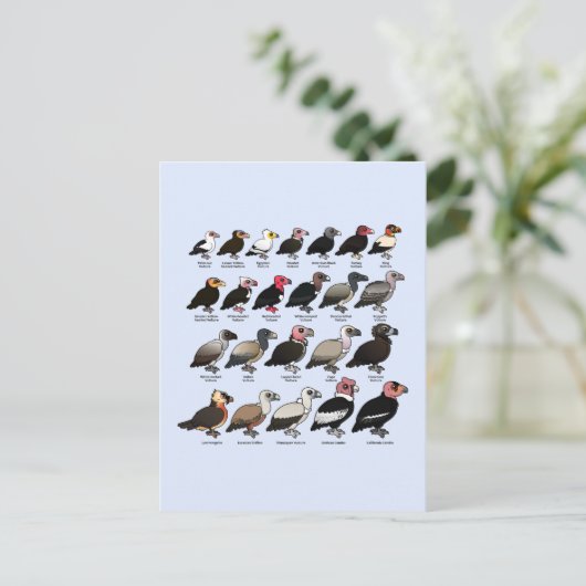 Carte Postale Chaque vautour (Debout devant)