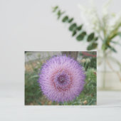 Carte Postale Chardon de lait pourpre (Debout devant)