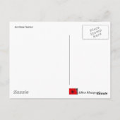 Carte Postale Chardon écossais (Dos)