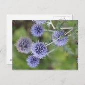 Carte Postale Chardon - Sortir de la foule (Devant / Derrière)