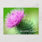 Carte postale chardon violet (Devant)
