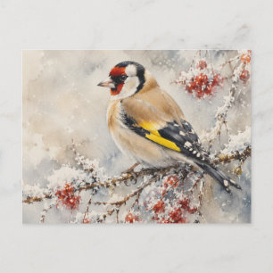 Carte Postale Chardonneret élégant oiseau aux baies d'hiver à l'