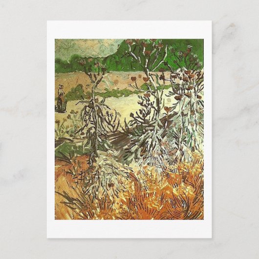 Carte Postale Chardons, Van Gogh Art (Devant)