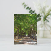 Carte Postale Charelston South Carolina Ravenel Waterfront Park (Debout devant)