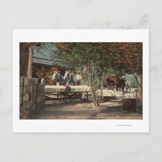 Carte Postale Chargement des fruits à Longview Ranch (Devant)