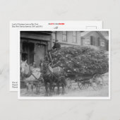 Carte Postale Chargement en Wagon des arbres de Noël (Devant / Derrière)