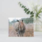 Carte Postale Chargement Rhino (Debout devant)