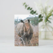 Carte Postale Chargement Rhino (Debout devant)
