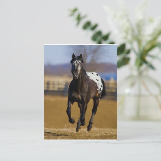 Carte Postale Chargeur (Debout devant)