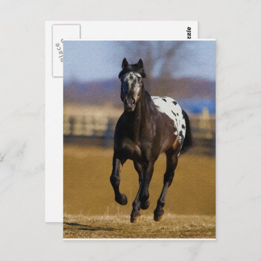 Carte Postale Chargeur (Devant / Derrière)