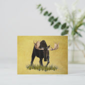 Carte Postale Charging Bull Moose (Debout devant)