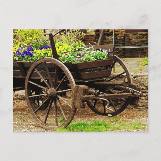 Carte Postale Chariot à fleurs (Devant)