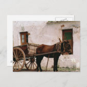 Carte Postale Chariot hippomobile démodé (Devant / Derrière)