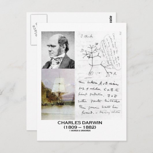 Carte Postale Charles Darwin (Phylogénétique Beagle Darwin HMS) (Devant / Derrière)
