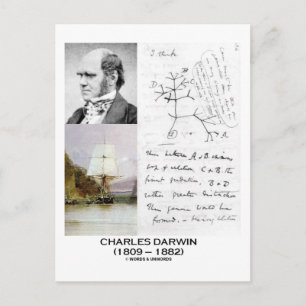 Carte Postale Charles Darwin (Phylogénétique Beagle Darwin HMS)