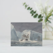 Carte Postale Charles Hamilton Smith - L'Erebus passant (Debout devant)