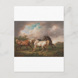 Carte Postale Charles Towne Art Peinture Huile Chevaux Destiny