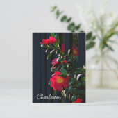 Carte postale Charleston Camelia (Debout devant)