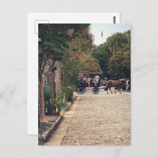 Carte Postale Charleston Cobbles (Devant / Derrière)