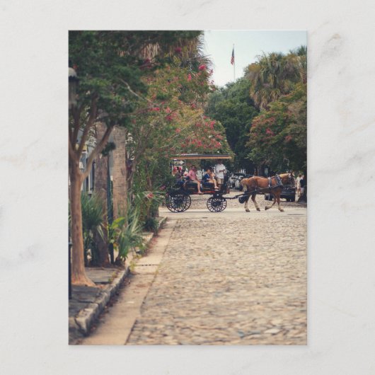 Carte Postale Charleston Cobbles (Devant)