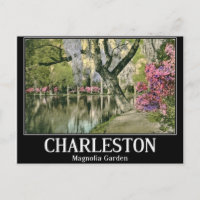 Charleston, Jardins de Magnolia, Vintage