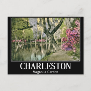 Carte Postale Charleston, Jardins de Magnolia, Vintage
