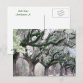 Carte Postale Charleston Oaks (Devant / Derrière)